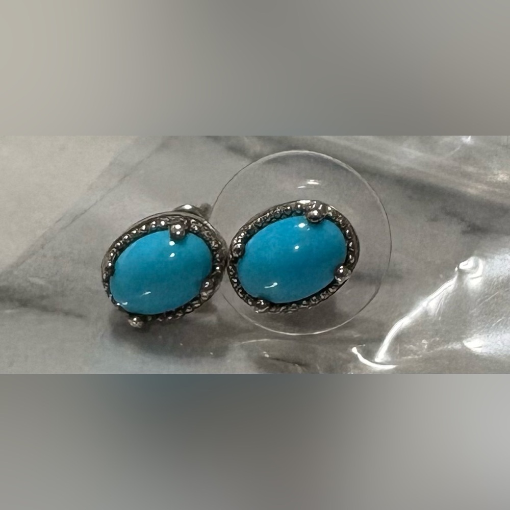 D’Joy Elegant Sterling Silver and Blue Earrings